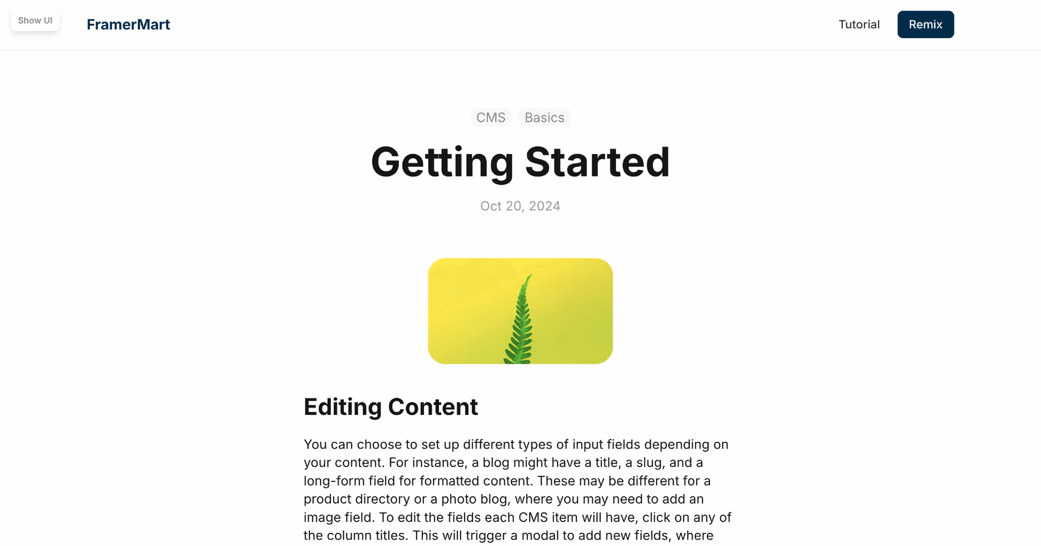 Center Images in the CMS Content in Framer