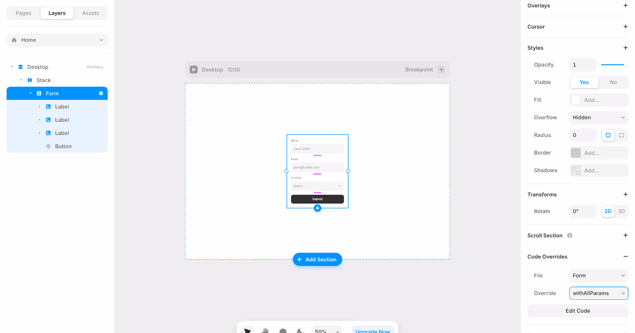 UTM Parameters in Framer Forms